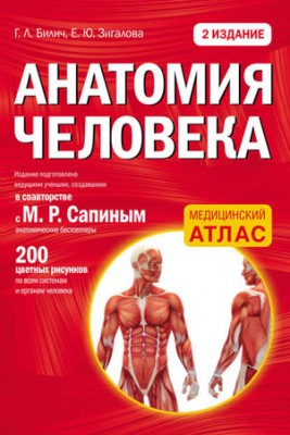 Анатомия человека. Е. Ю. Зигалова, Г. Л. Билич