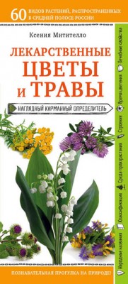 Лекарственные растения и травы. Определитель трав русских