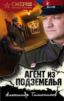 Агент из подземелья. Александр Тамоников