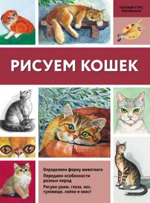 Рисуем кошек. Нина Щербакова